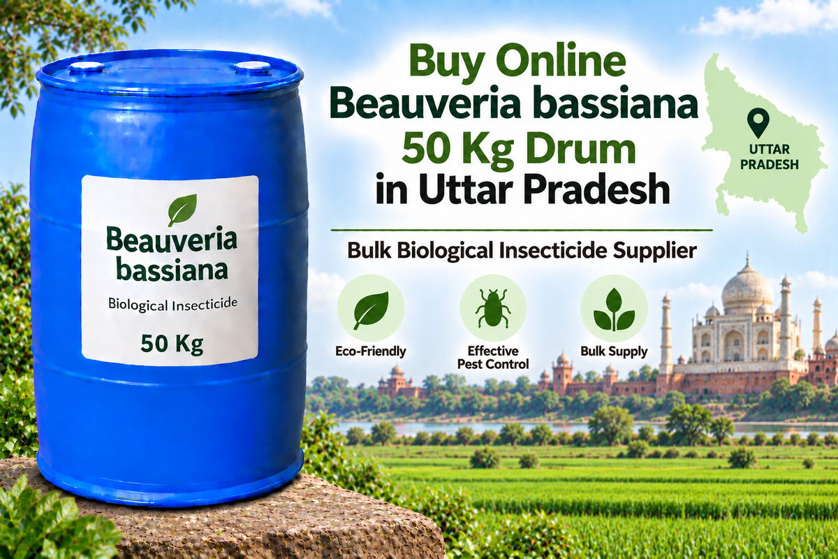 Buy Online Beauveria bassiana 50 Kg Drum in Uttar Pradesh | Bulk Biological Insecticide Supplier
