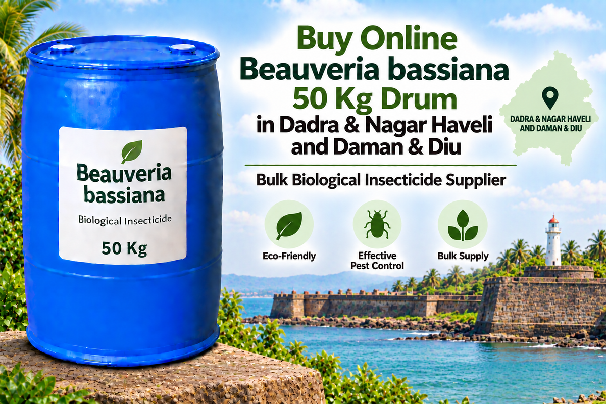 Buy Online Beauveria bassiana 50 Kg Drum in Dadra & Nagar Haveli and Daman & Diu | Bulk Biological Insecticide Supplier