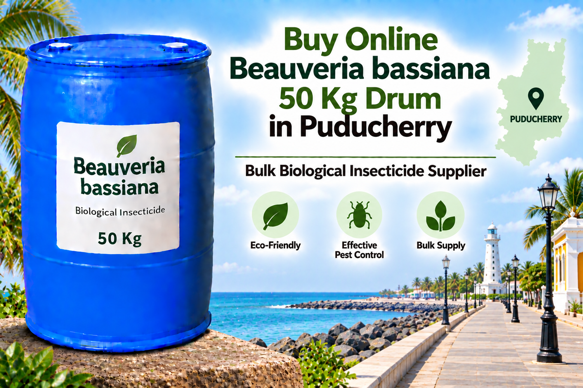 Buy Online Beauveria bassiana 50 Kg Drum in Puducherry | Bulk Biological Insecticide Supplier