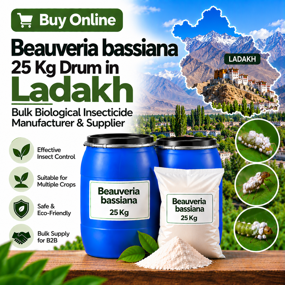 Buy Online Beauveria bassiana 25 Kg Drum in Ladakh | Bulk Biological Insecticide Manufacturer & Supplier