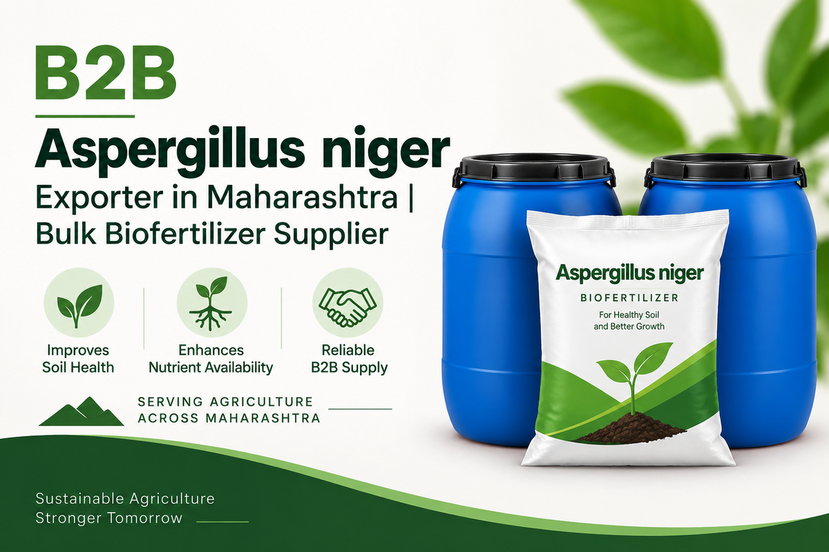 B2B Aspergillus niger Exporter in Maharashtra | Bulk Biofertilizer Supplier
