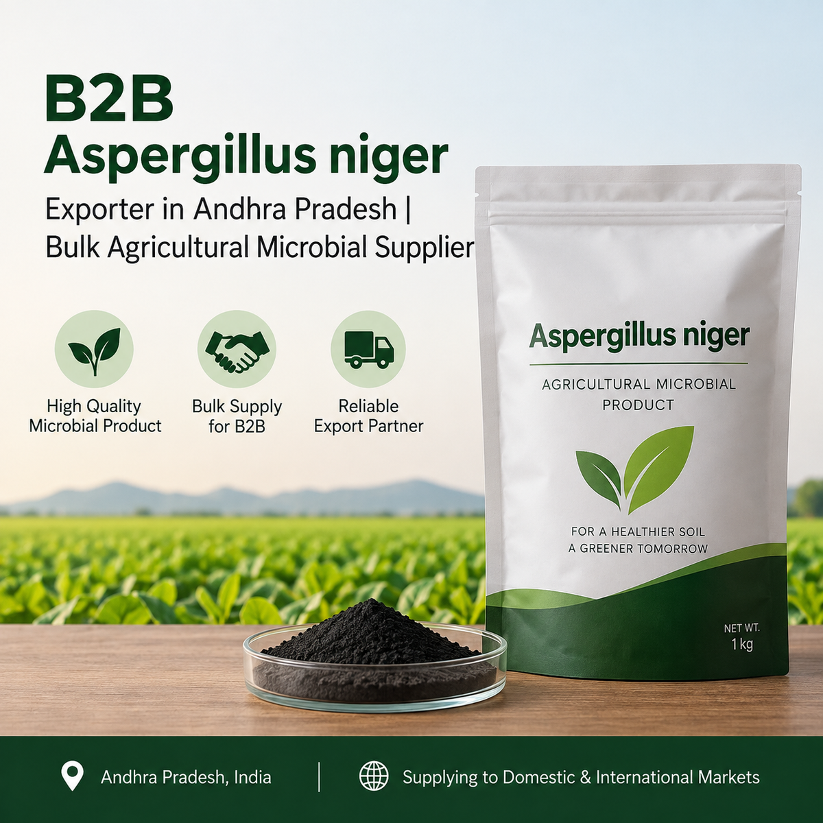 B2B Aspergillus niger Exporter in Andhra Pradesh | Bulk Agricultural Microbial Supplier