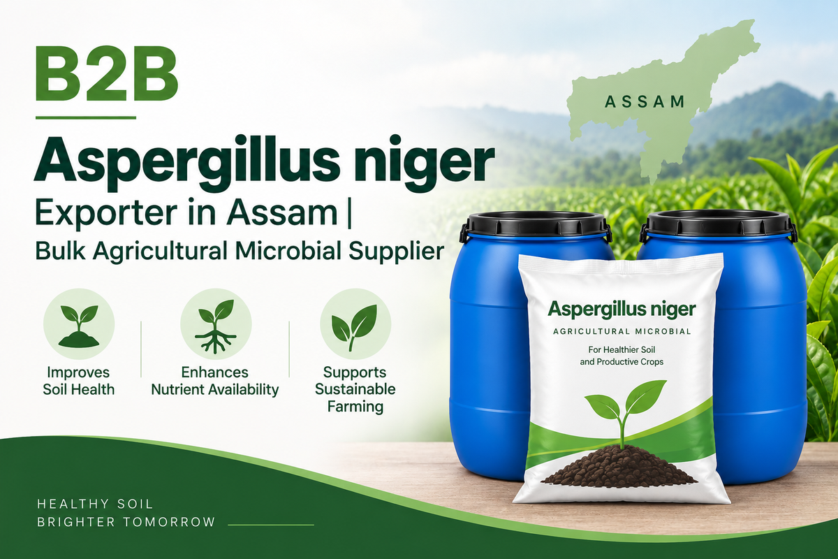 B2B Aspergillus niger Exporter in Assam | Bulk Agricultural Microbial Supplier