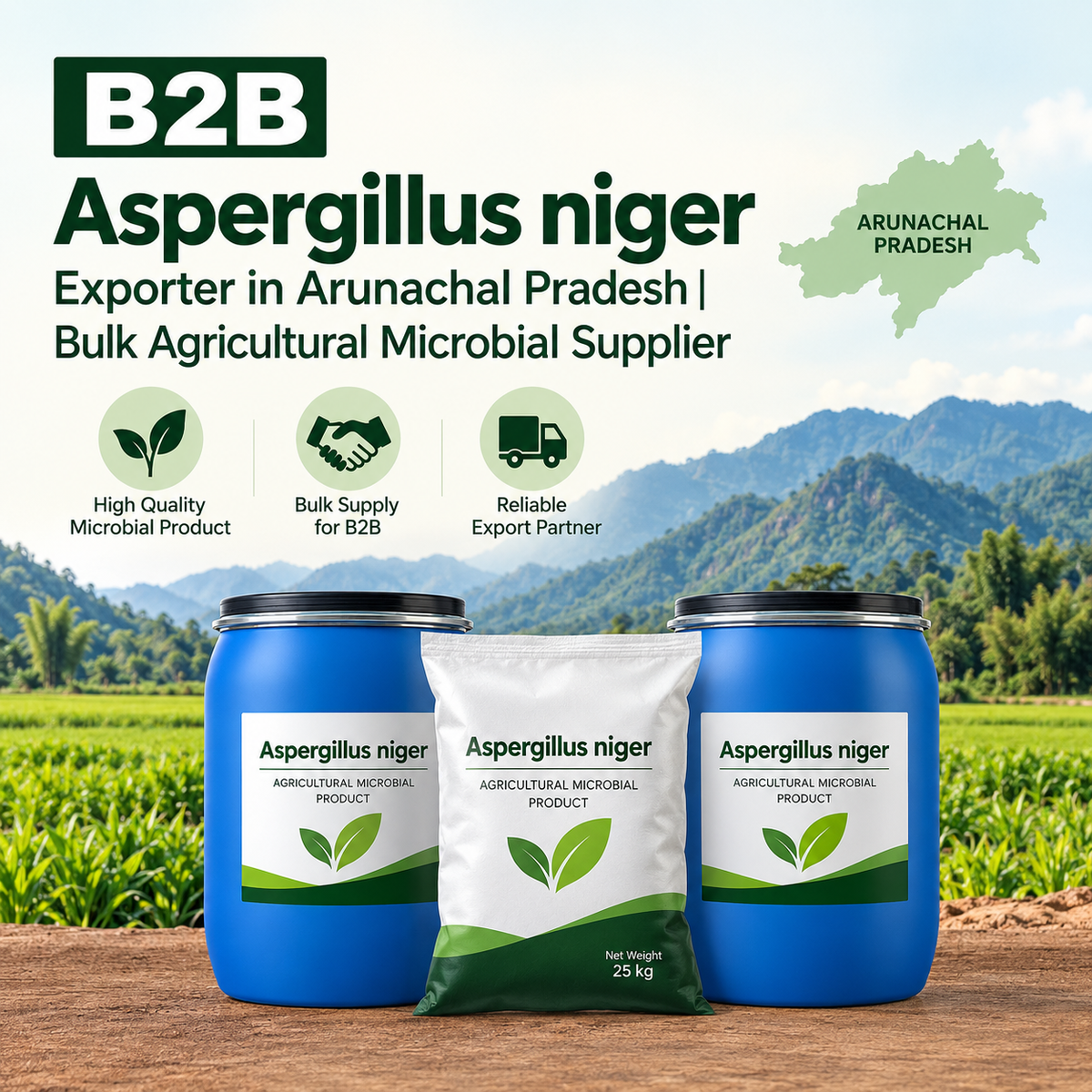 B2B Aspergillus niger Exporter in Arunachal Pradesh | Bulk Agricultural Microbial Supplier