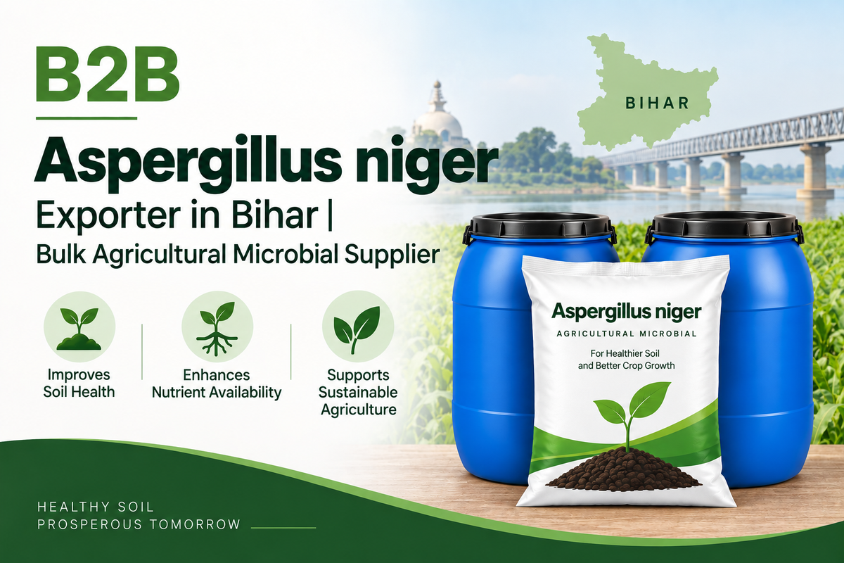B2B Aspergillus niger Exporter in Bihar | Bulk Agricultural Microbial Supplier