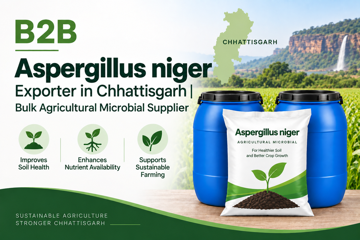 B2B Aspergillus niger Exporter in Chhattisgarh | Bulk Agricultural Microbial Supplier
