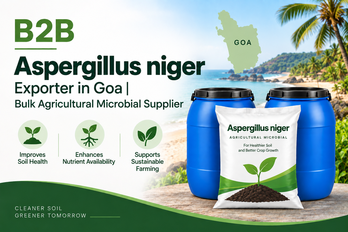 B2B Aspergillus niger Exporter in Goa | Bulk Agricultural Microbial Supplier