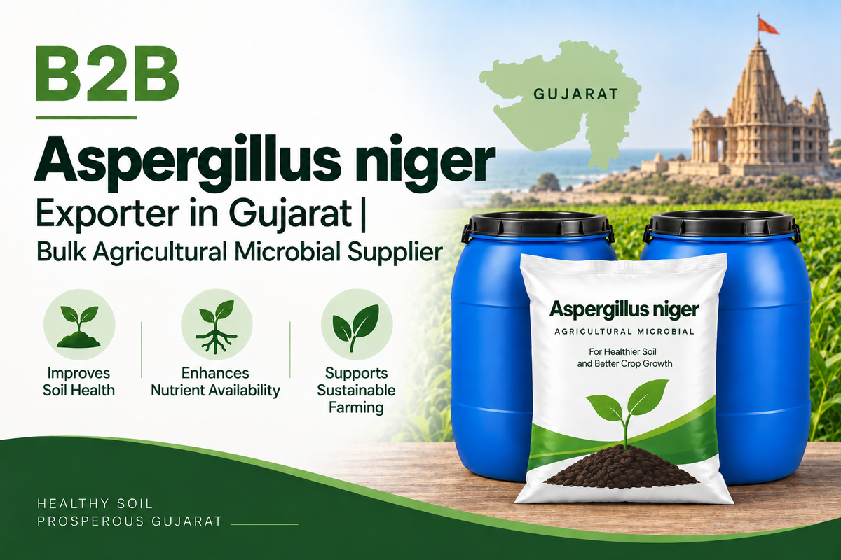B2B Aspergillus niger Exporter in Gujarat | Bulk Agricultural Microbial Supplier