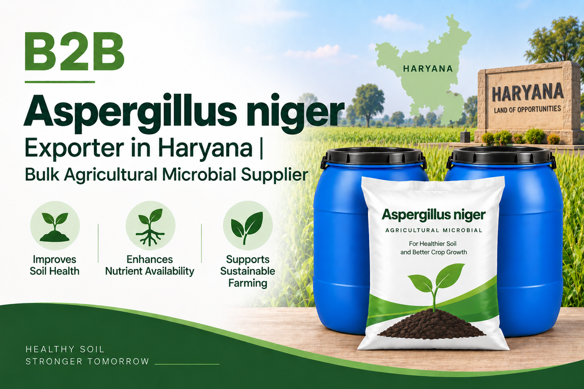 B2B Aspergillus niger Exporter in Haryana | Bulk Agricultural Microbial Supplier