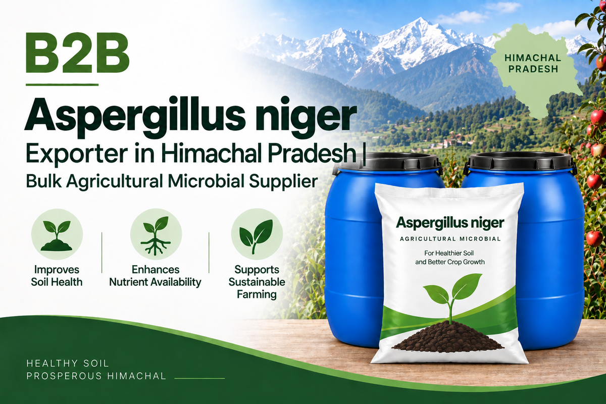 B2B Aspergillus niger Exporter in Himachal Pradesh | Bulk Agricultural Microbial Supplier