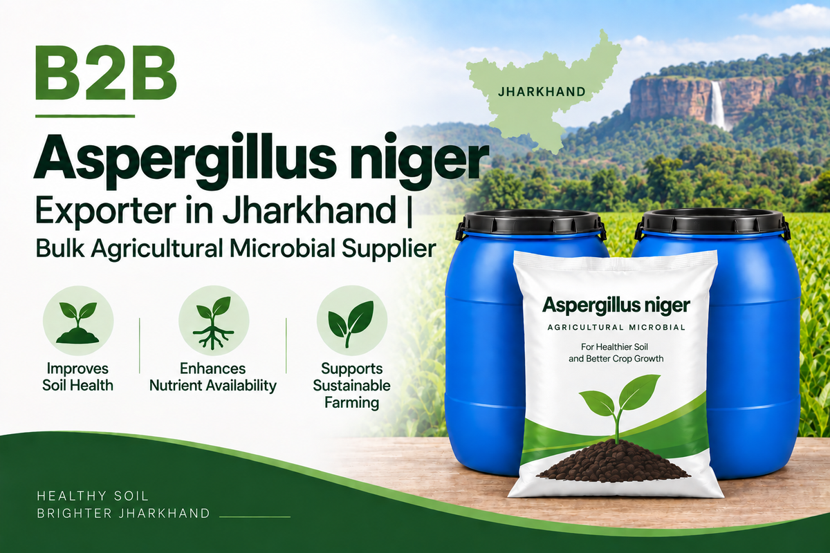 B2B Aspergillus niger Exporter in Jharkhand | Bulk Agricultural Microbial Supplier