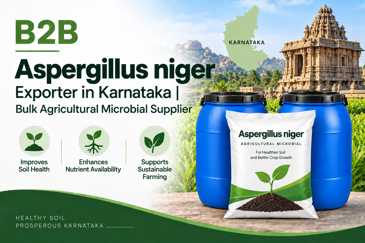 B2B Aspergillus niger Exporter in Karnataka | Bulk Agricultural Microbial Supplier