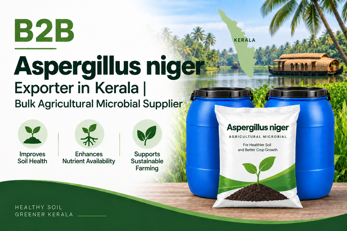 B2B Aspergillus niger Exporter in Kerala | Bulk Agricultural Microbial Supplier