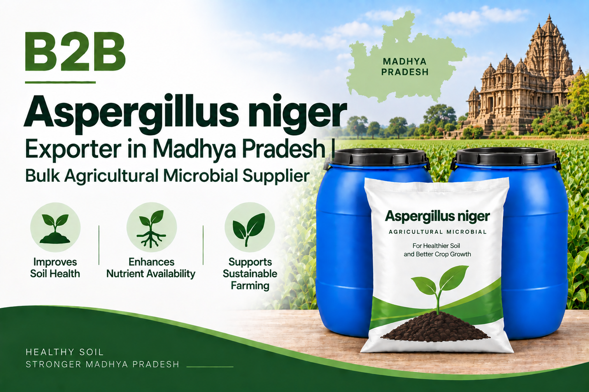 B2B Aspergillus niger Exporter in Madhya Pradesh | Bulk Agricultural Microbial Supplier