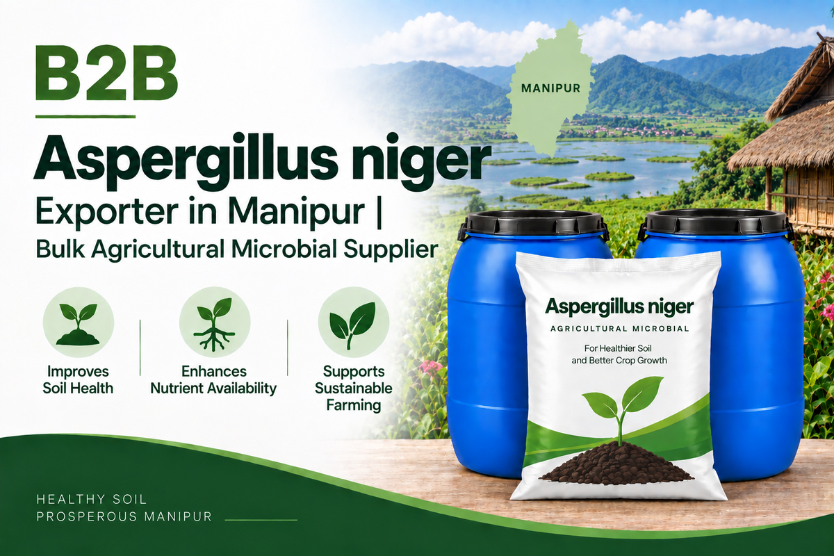 B2B Aspergillus niger Exporter in Manipur | Bulk Agricultural Microbial Supplier