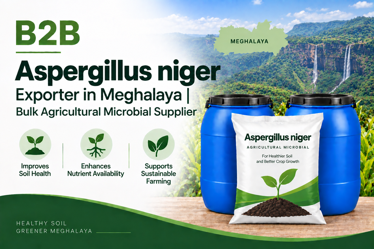 B2B Aspergillus niger Exporter in Meghalaya | Bulk Agricultural Microbial Supplier