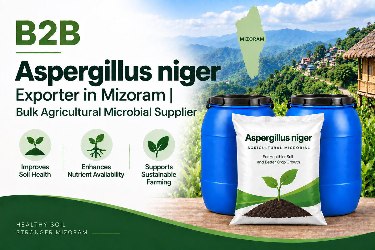 B2B Aspergillus niger Exporter in Mizoram | Bulk Agricultural Microbial Supplier