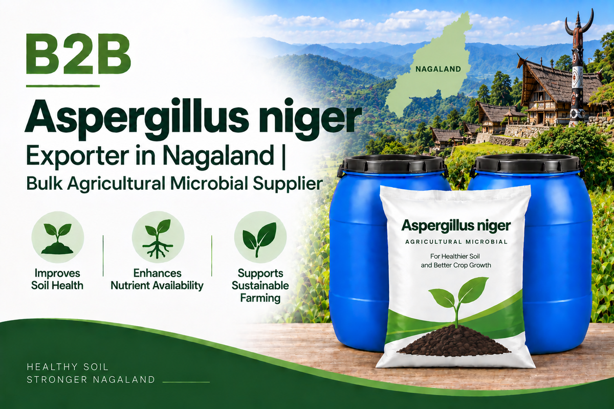 B2B Aspergillus niger Exporter in Nagaland | Bulk Agricultural Microbial Supplier