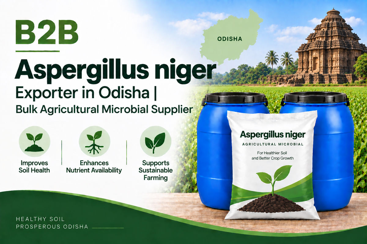 B2B Aspergillus niger Exporter in Odisha | Bulk Agricultural Microbial Supplier