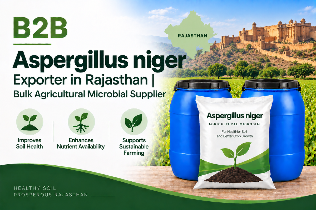 B2B Aspergillus niger Exporter in Rajasthan | Bulk Agricultural Microbial Supplier