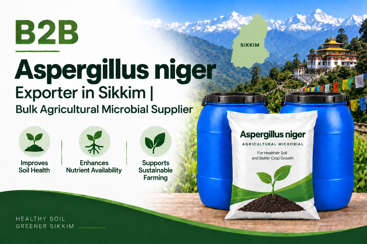 B2B Aspergillus niger Exporter in Sikkim | Bulk Agricultural Microbial Supplier