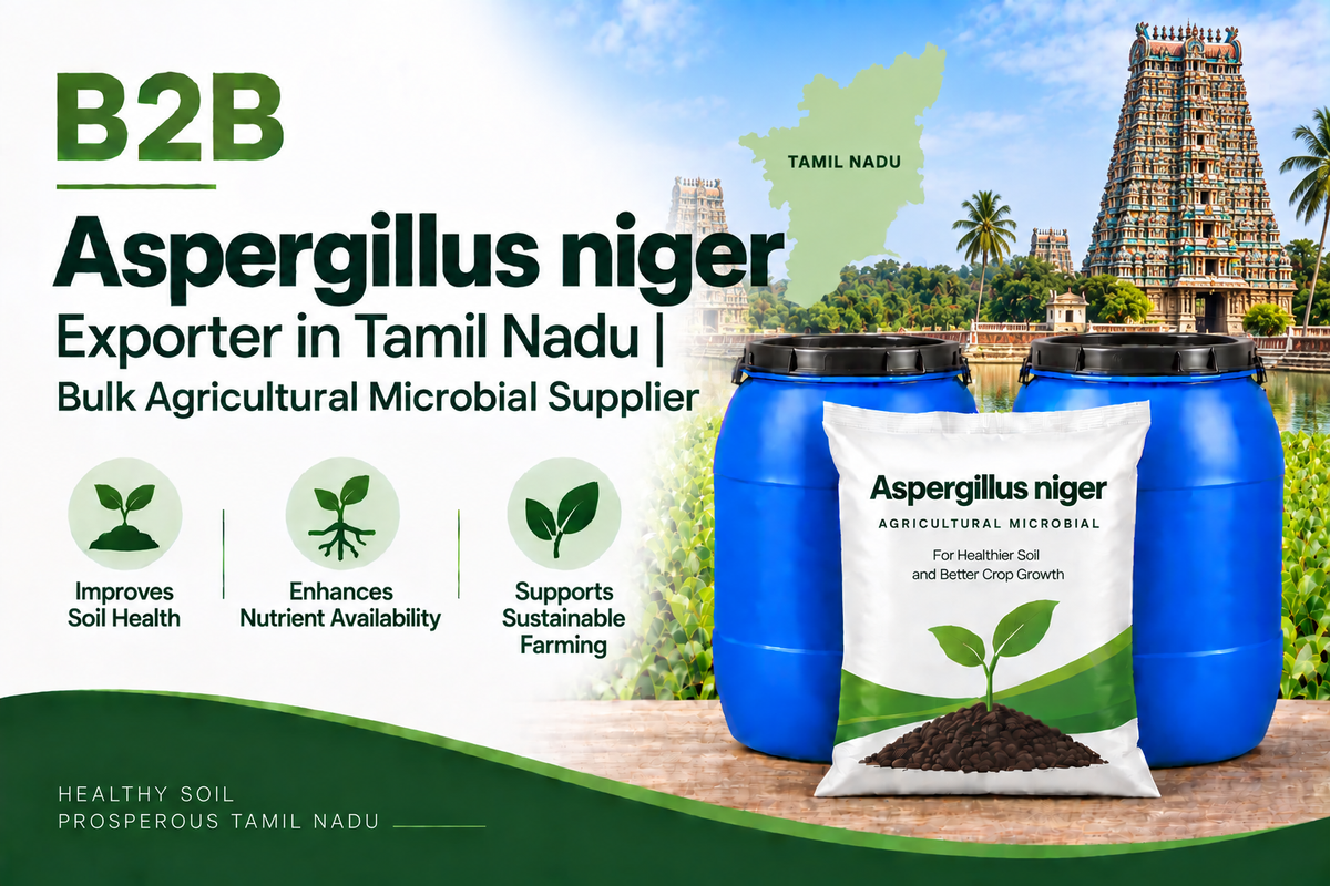 B2B Aspergillus niger Exporter in Tamil Nadu | Bulk Agricultural Microbial Supplier