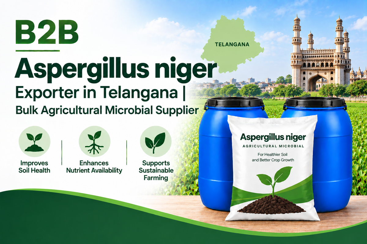 B2B Aspergillus niger Exporter in Telangana | Bulk Agricultural Microbial Supplier