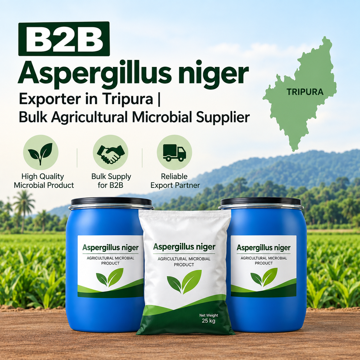 B2B Aspergillus niger Exporter in Tripura | Bulk Agricultural Microbial Supplier