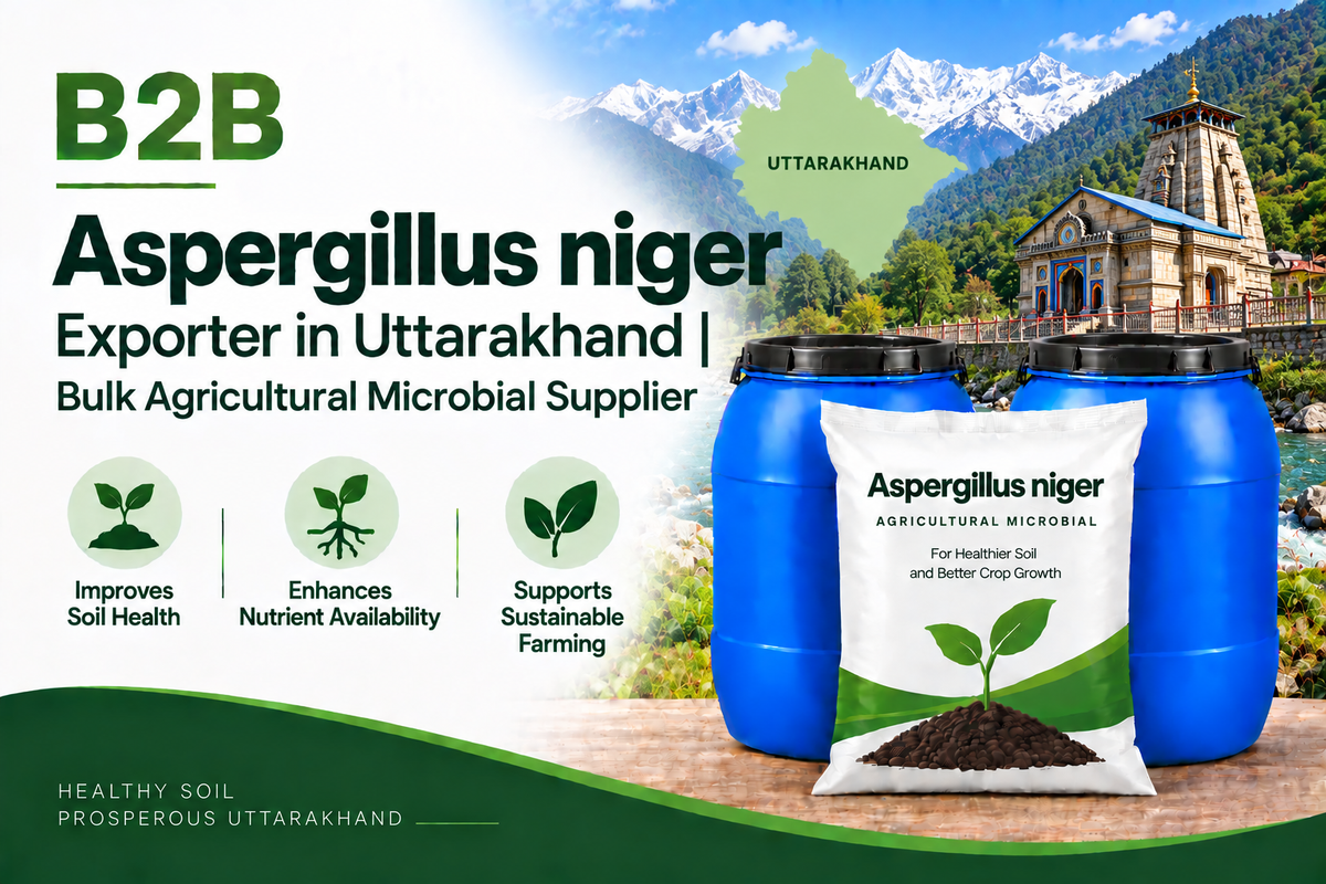 B2B Aspergillus niger Exporter in Uttarakhand | Bulk Agricultural Microbial Supplier