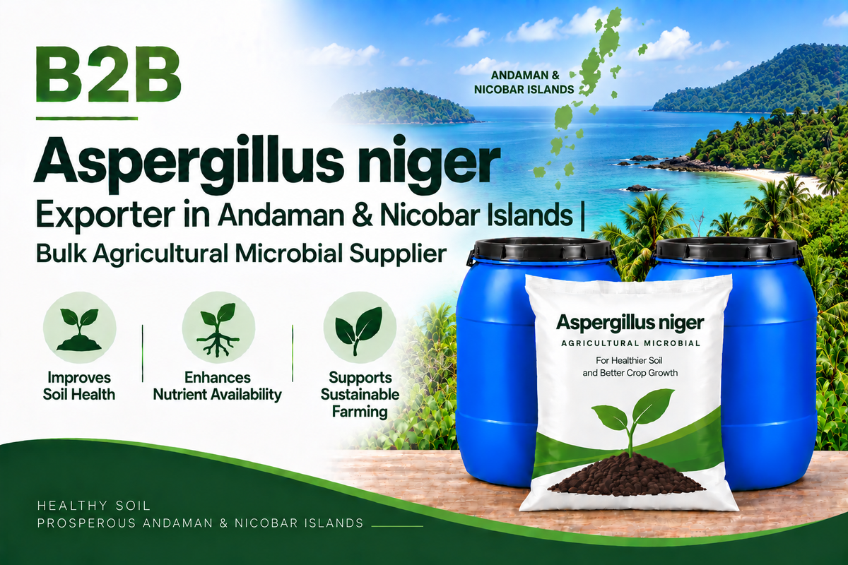 B2B Aspergillus niger Exporter in Andaman & Nicobar Islands | Bulk Agricultural Microbial Supplier