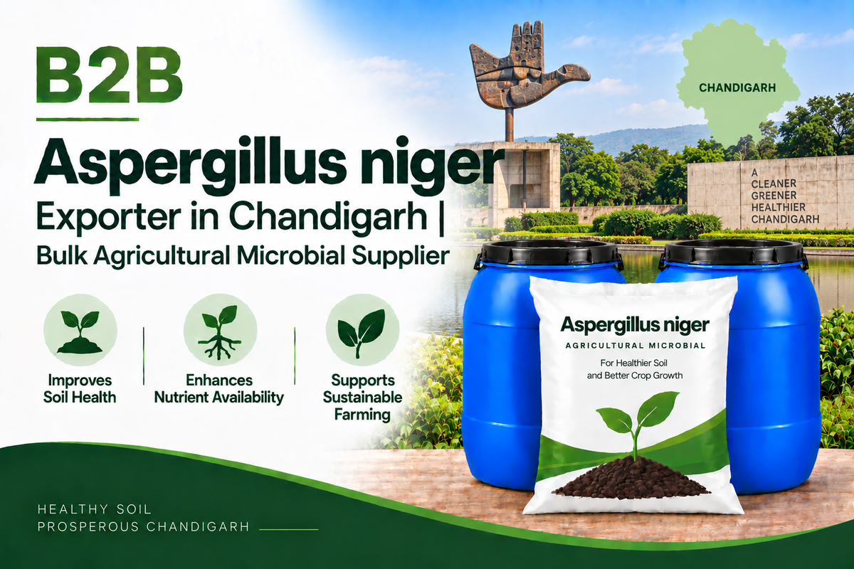 B2B Aspergillus niger Exporter in Chandigarh | Bulk Agricultural Microbial Supplier
