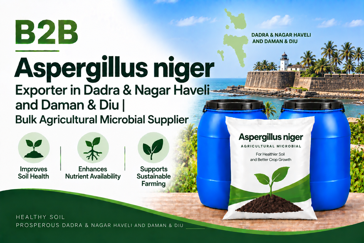 B2B Aspergillus niger Exporter in Dadra & Nagar Haveli and Daman & Diu | Bulk Agricultural Microbial Supplier