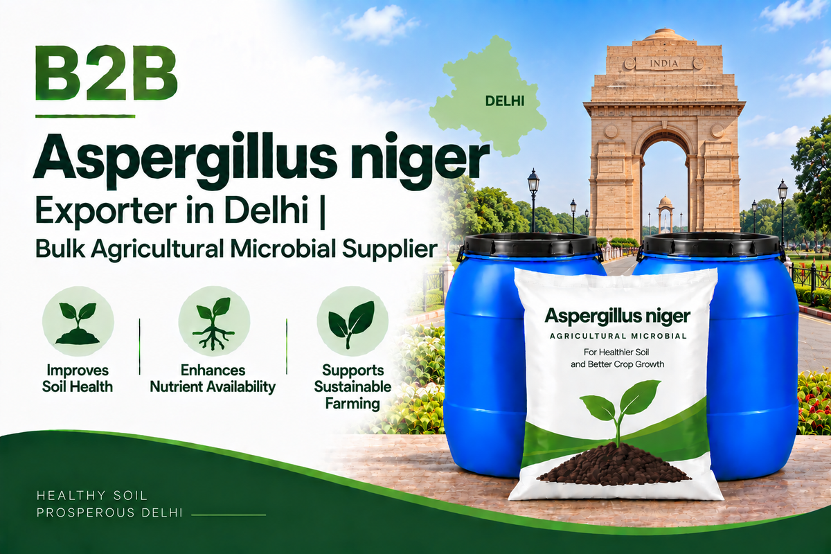 B2B Aspergillus niger Exporter in Delhi | Bulk Agricultural Microbial Supplier