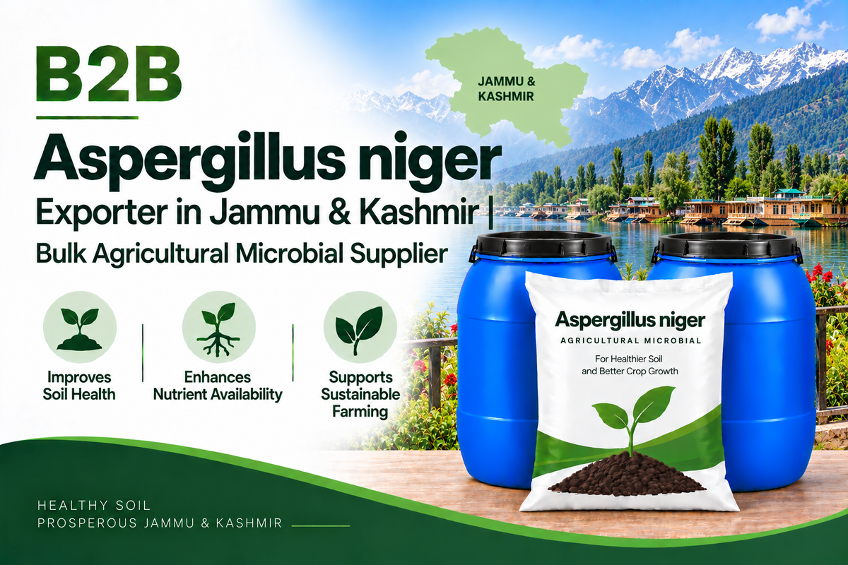 B2B Aspergillus niger Exporter in Jammu & Kashmir | Bulk Agricultural Microbial Supplier