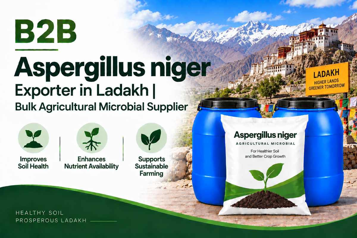 B2B Aspergillus niger Exporter in Ladakh | Bulk Agricultural Microbial Supplier