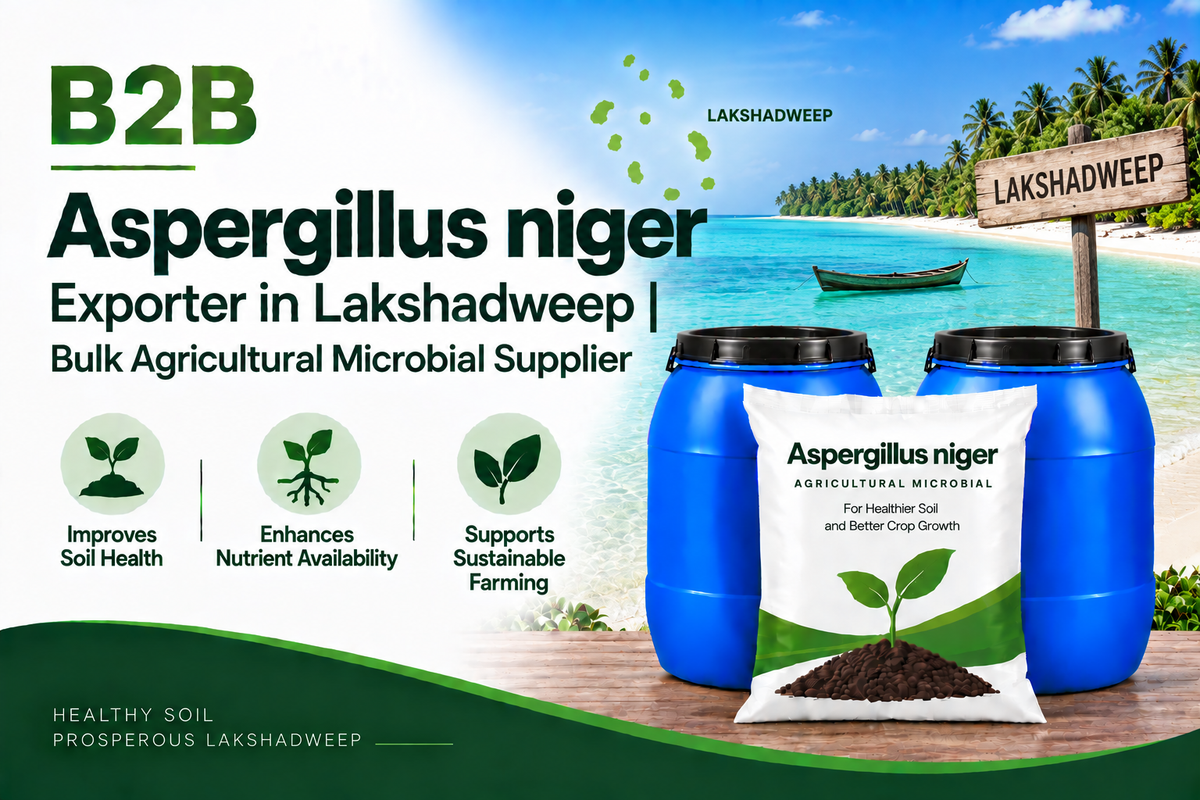 B2B Aspergillus niger Exporter in Lakshadweep | Bulk Agricultural Microbial Supplier