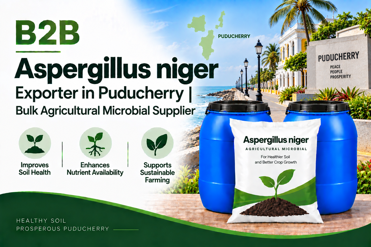B2B Aspergillus niger Exporter in Puducherry | Bulk Agricultural Microbial Supplier