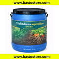 Trichoderma Asperllum
