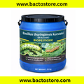 Bacillus thuringiensis kurstaki