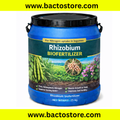 Rhizobium spp