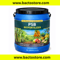 Phosphate solubilzing bacteria