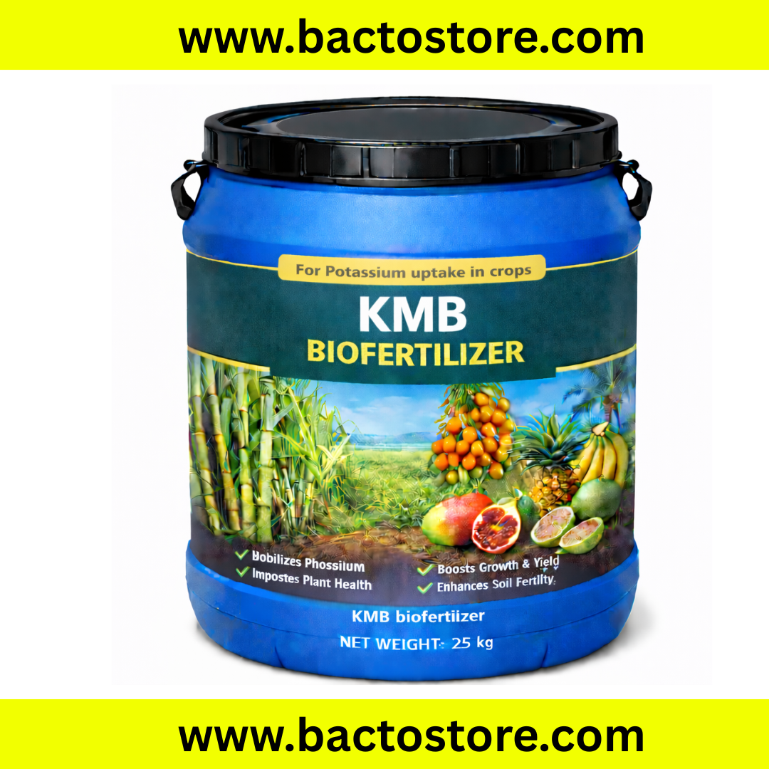 Potash mobilizing bacteria