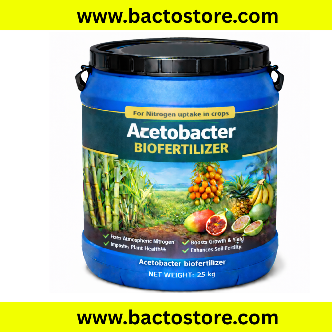 Acetobacter Powder – Nitrogen Fixing Biofertilizer for Sugar-Rich Crops