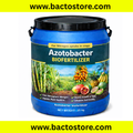 Azotobacter
