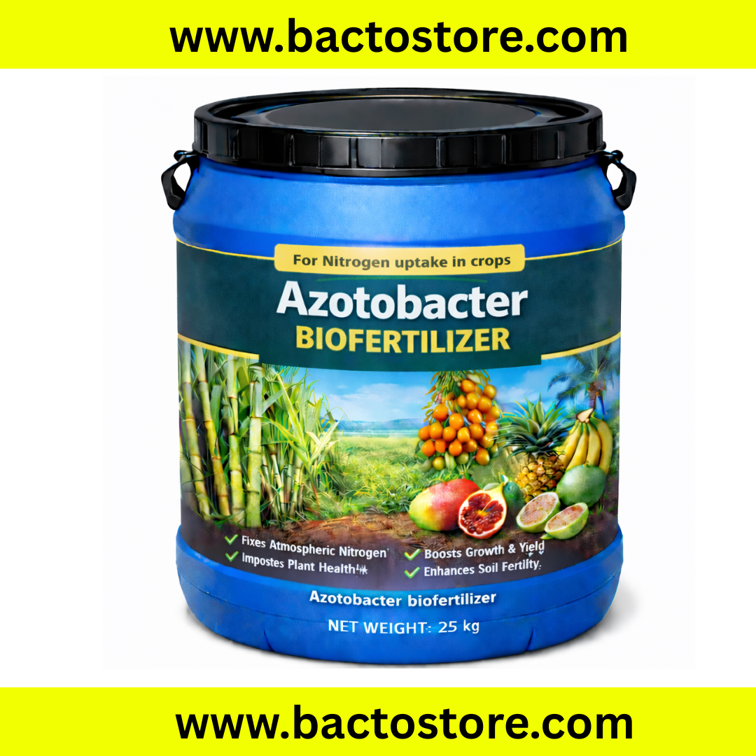 Azotobacter