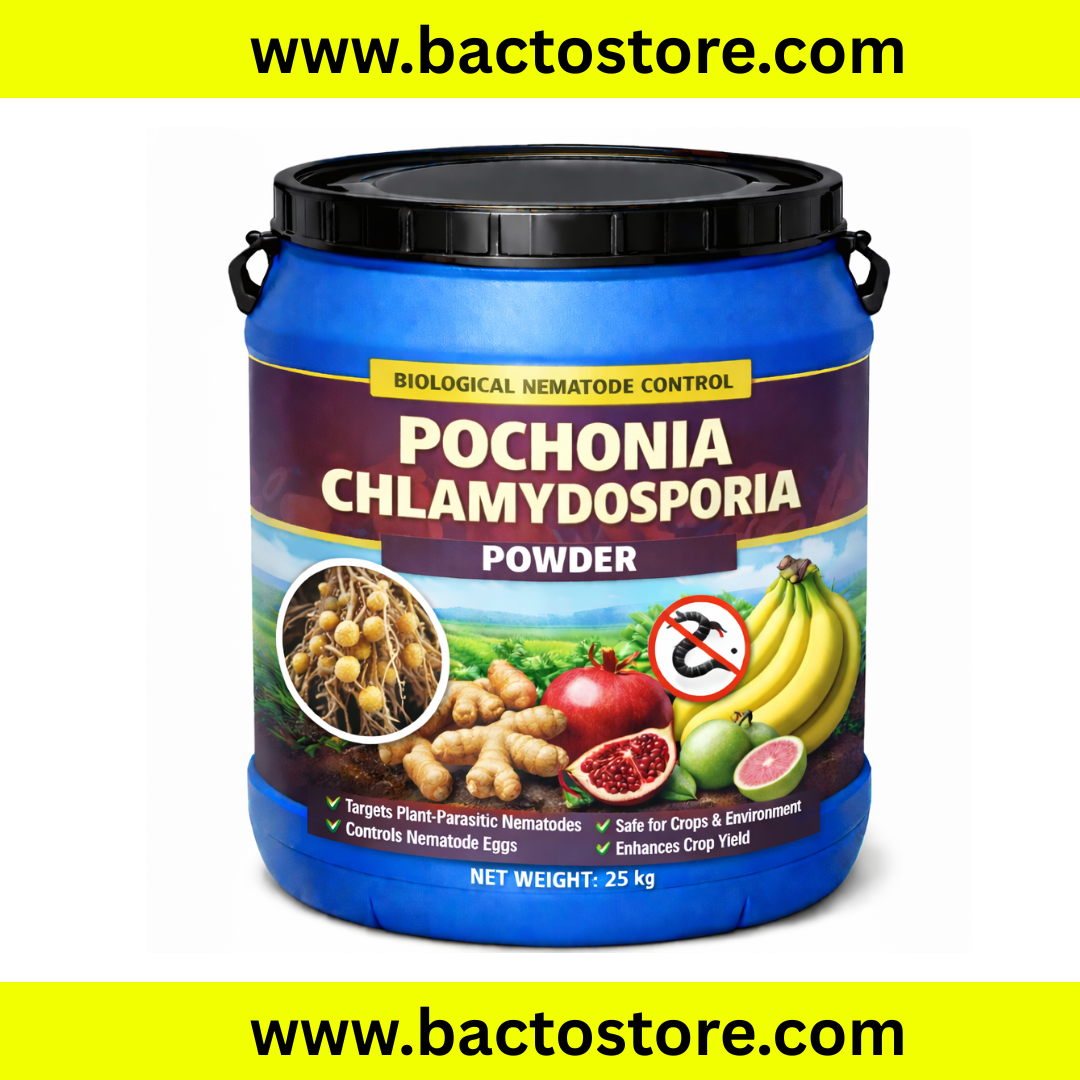 Pochonia chlamydosporia Powder – Advanced Biological Nematode Control