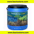 Trichoderma Viride