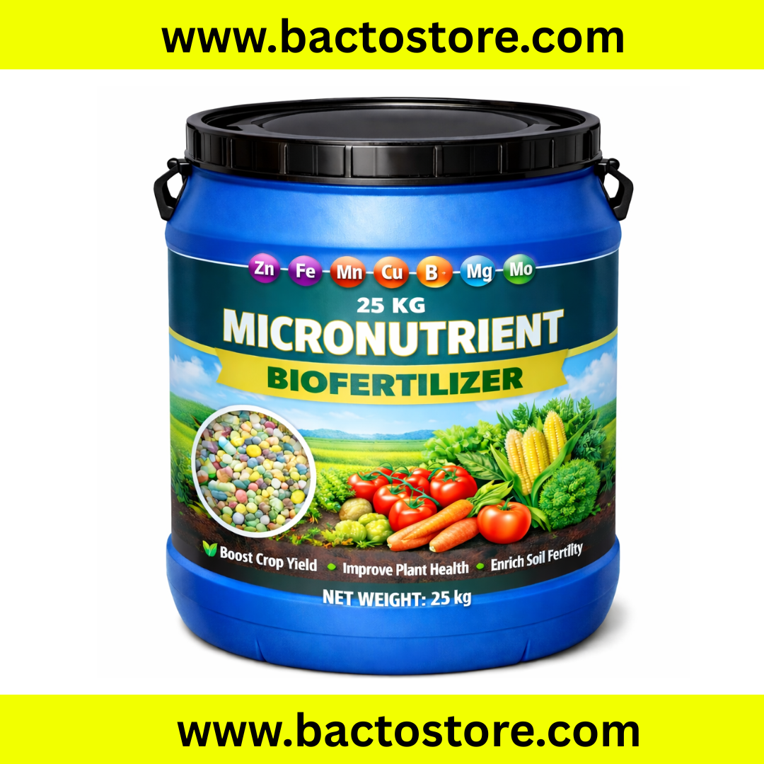 Micronutrient Solubilizing Bacteria (MSB) Powder – Zinc, Iron, Sulphur, Silicon & Boron Booster