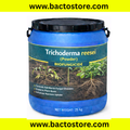Trichoderma Reesei