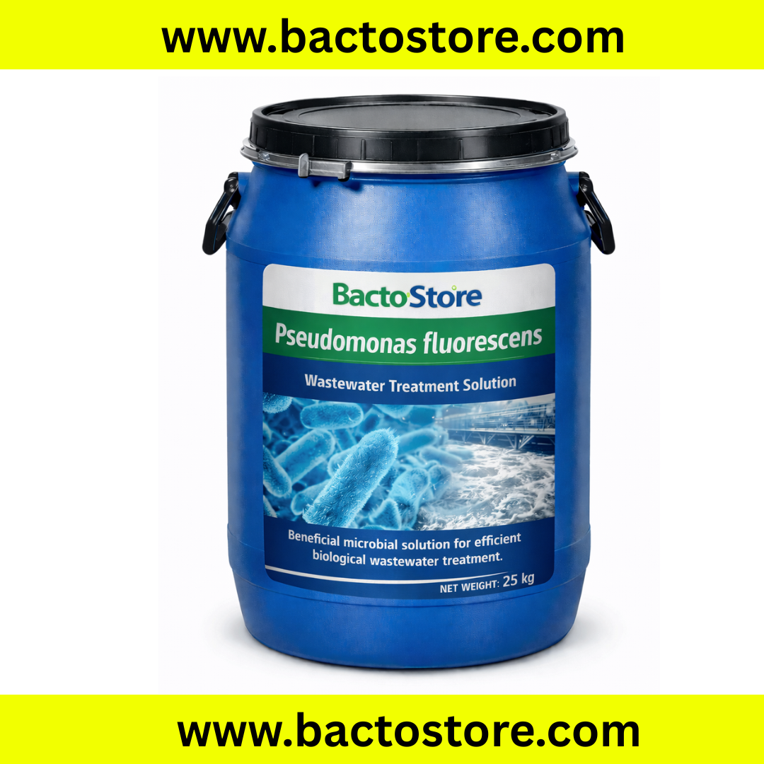 Pseudomonas fluroscens Powder